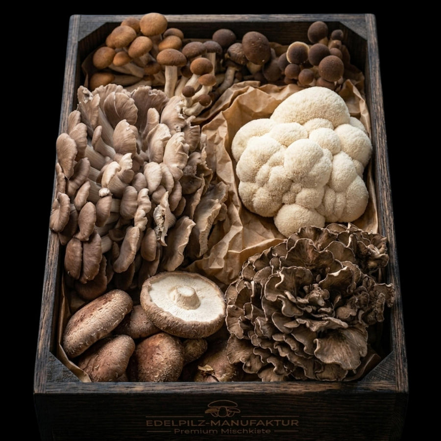 Mischpilz-Box - Edelpilze anch Saison