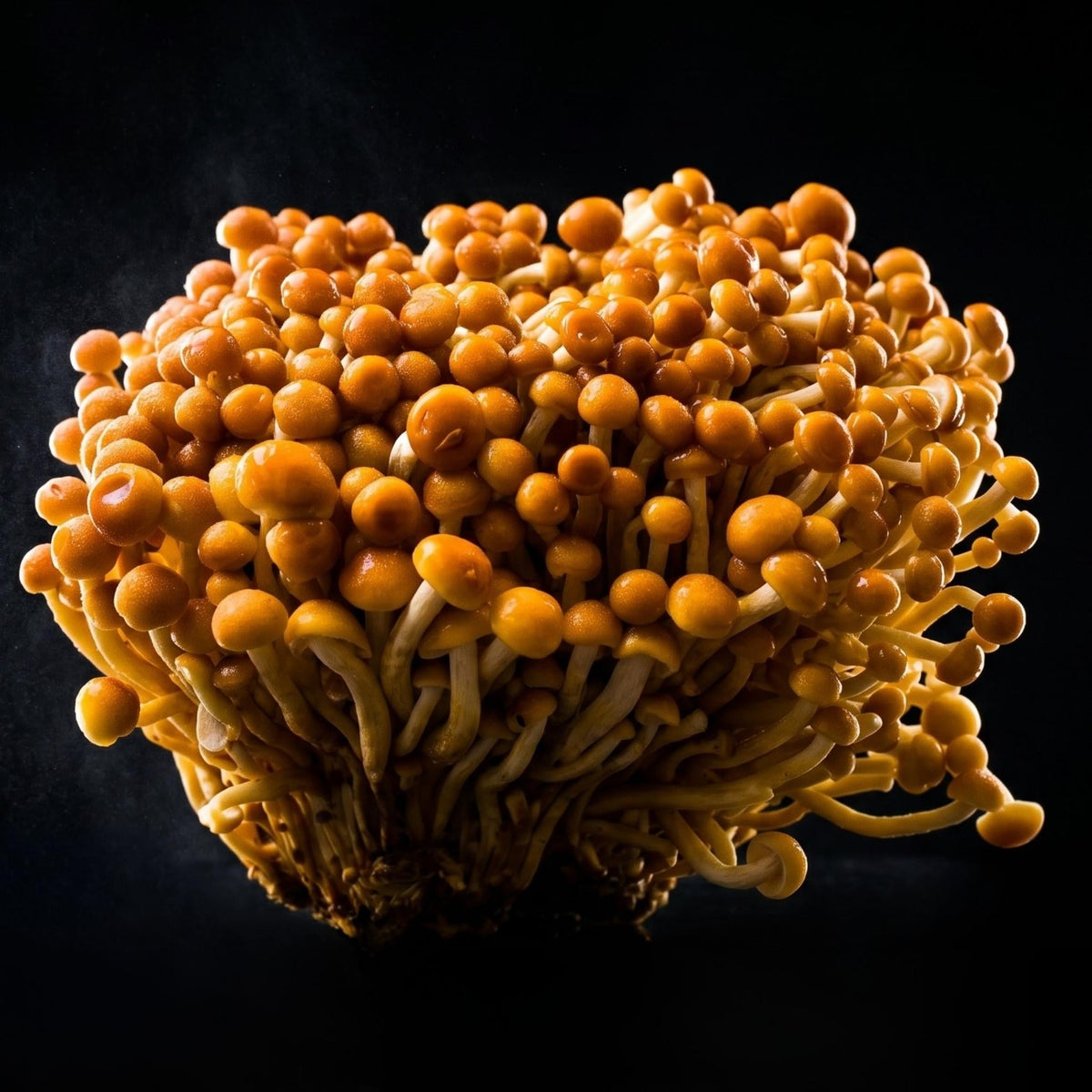 Golden Enoki